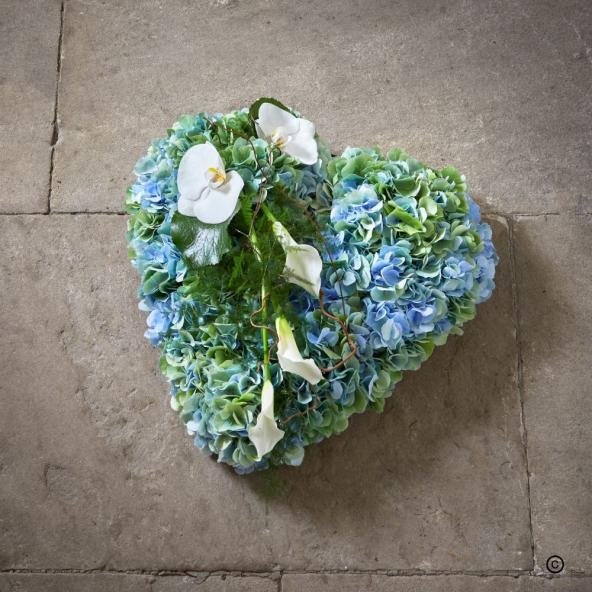 Hydrangea Closed Heart