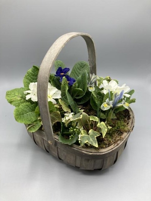 Planted Basket